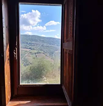 Foto annuncio 25