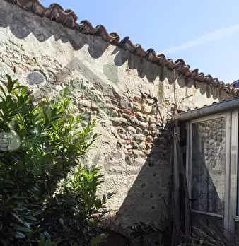 Foto annuncio 12