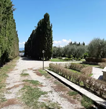 Foto annuncio 3