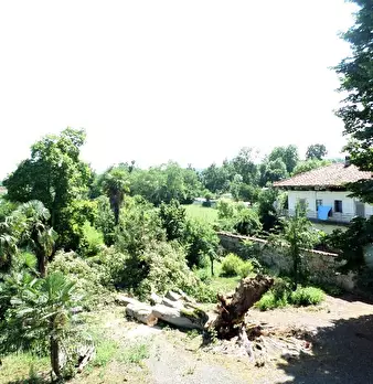 Foto annuncio 47