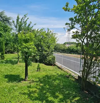 Foto annuncio 40