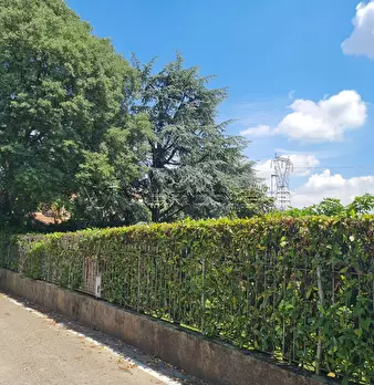 Foto annuncio 33