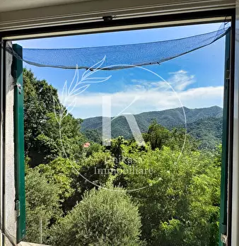 Foto annuncio 21