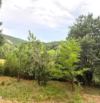 Foto annuncio 55