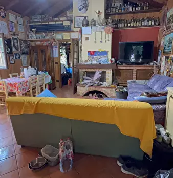 Foto annuncio 10