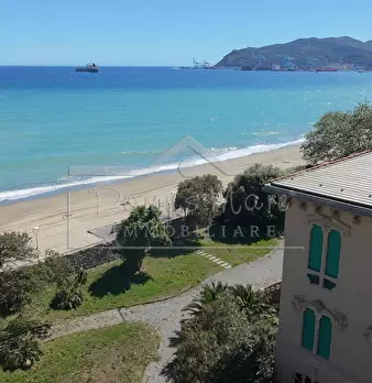 Foto annuncio 6