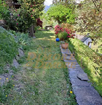 Foto annuncio 37