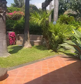 Foto annuncio 39