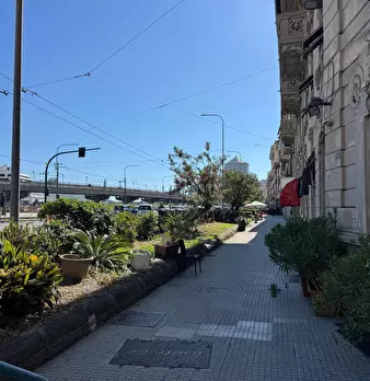Foto annuncio 40