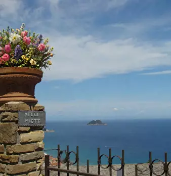 Foto annuncio 1
