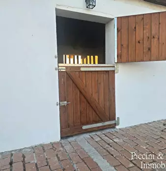 Foto annuncio 62