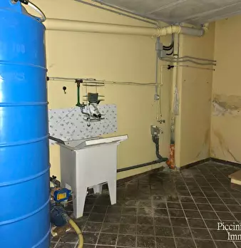 Foto annuncio 43