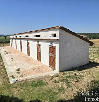 Foto annuncio 72