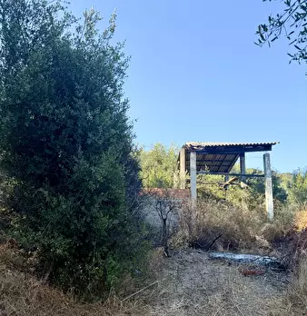 Foto annuncio 2