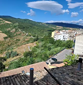 Foto annuncio 11
