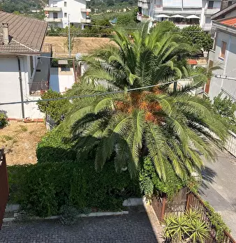 Foto annuncio 11