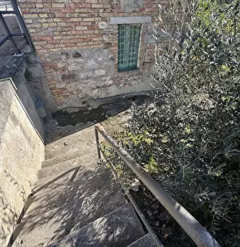 Foto annuncio 40
