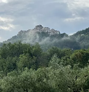 Foto annuncio 60