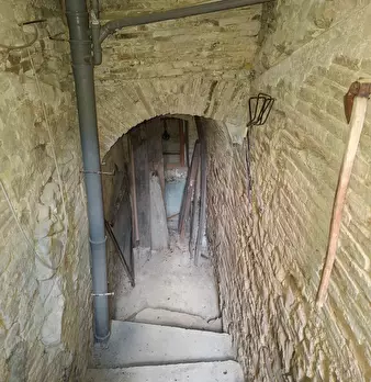 Foto annuncio 21