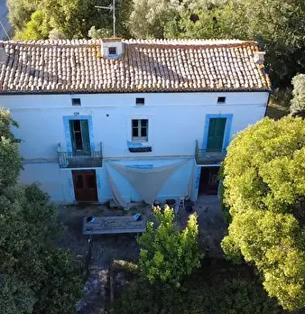 Foto annuncio 1
