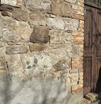 Foto annuncio 49