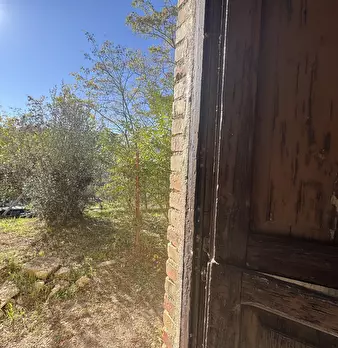 Foto annuncio 48