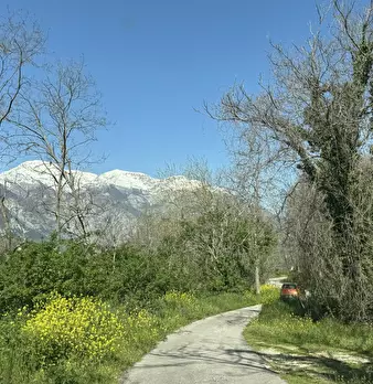 Foto annuncio 2
