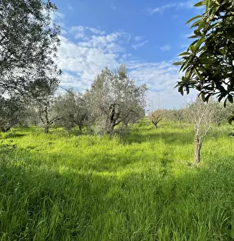 Foto annuncio 19
