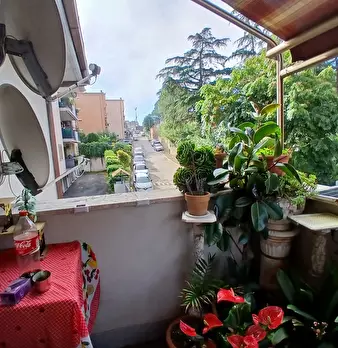 Foto annuncio 19