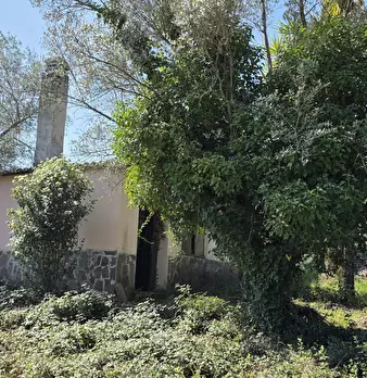 Foto annuncio 11