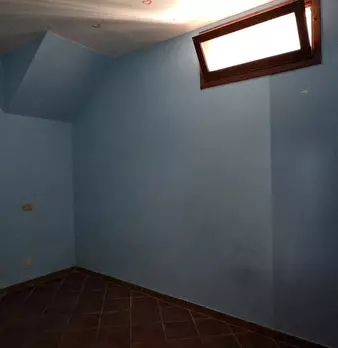 Foto annuncio 31
