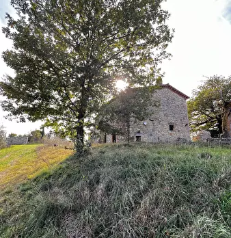 Foto annuncio 102