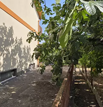 Foto annuncio 37