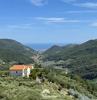 Foto annuncio 14