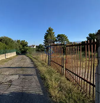 Foto annuncio 7