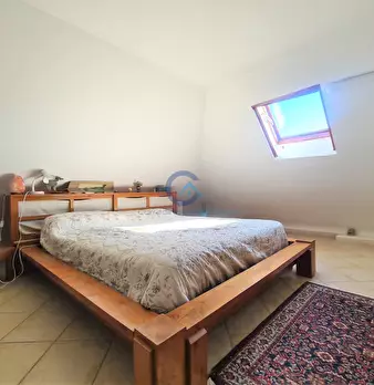 Foto annuncio 12