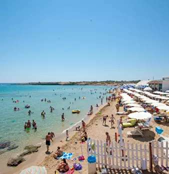 Foto annuncio 10