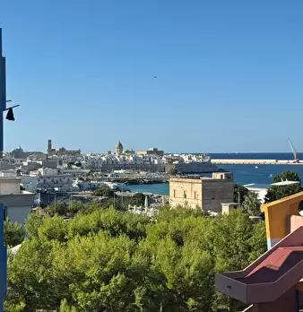 Foto annuncio 10