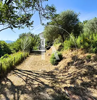 Foto annuncio 17