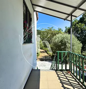 Foto annuncio 35