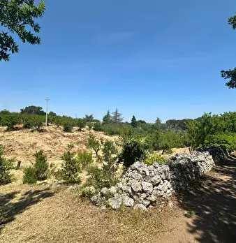 Foto annuncio 22