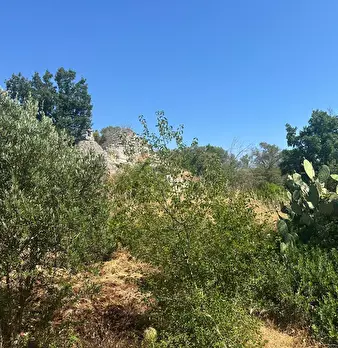 Foto annuncio 18
