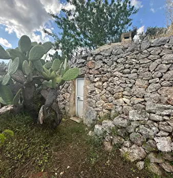 Foto annuncio 5