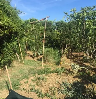 Foto annuncio 18