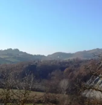 Foto annuncio 5