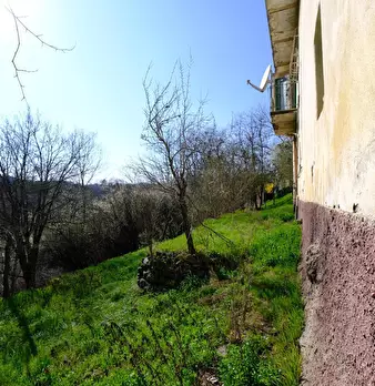 Foto annuncio 36