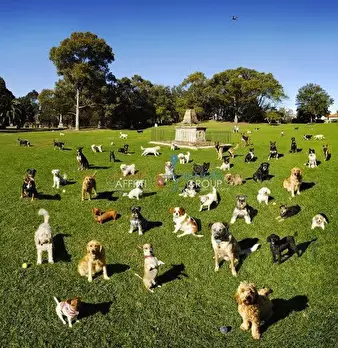 Foto annuncio 8
