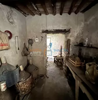 Foto annuncio 52