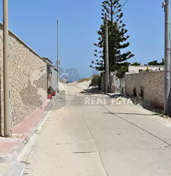 Foto annuncio 29