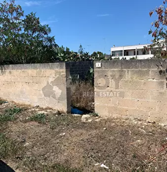 Foto annuncio 2